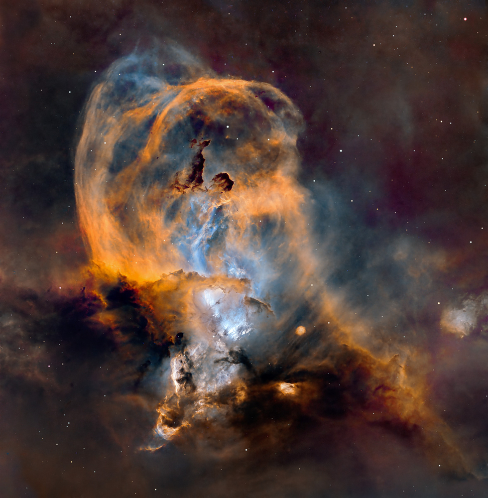 【4枚組】NGC MS66 2025 SpecialWrapCollection Skull and Crossbones Nebula (NGC 2467) | Telescope Live